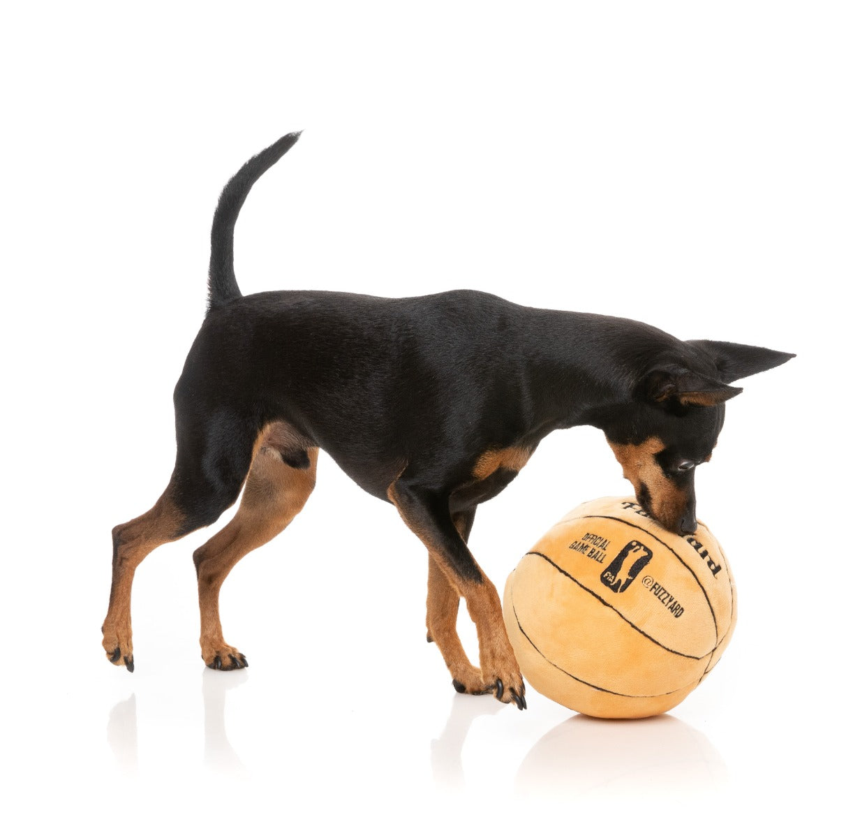 Basketball - Dog Toy by FuzzYard