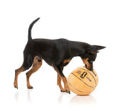 Basketball - Dog Toy by FuzzYard