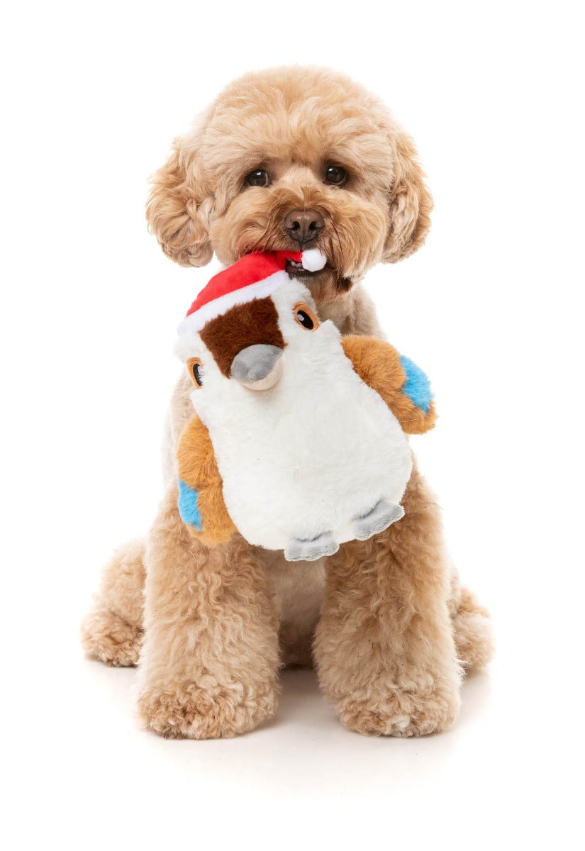 Ka-Tree-Na the Kookaburra - Dog Toy by FuzzYard