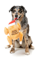 Merry Cluckin' Christmas  - Dog Toy
