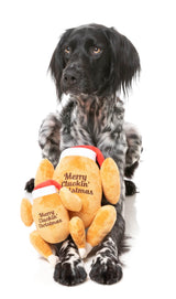 Merry Cluckin' Christmas  - Dog Toy