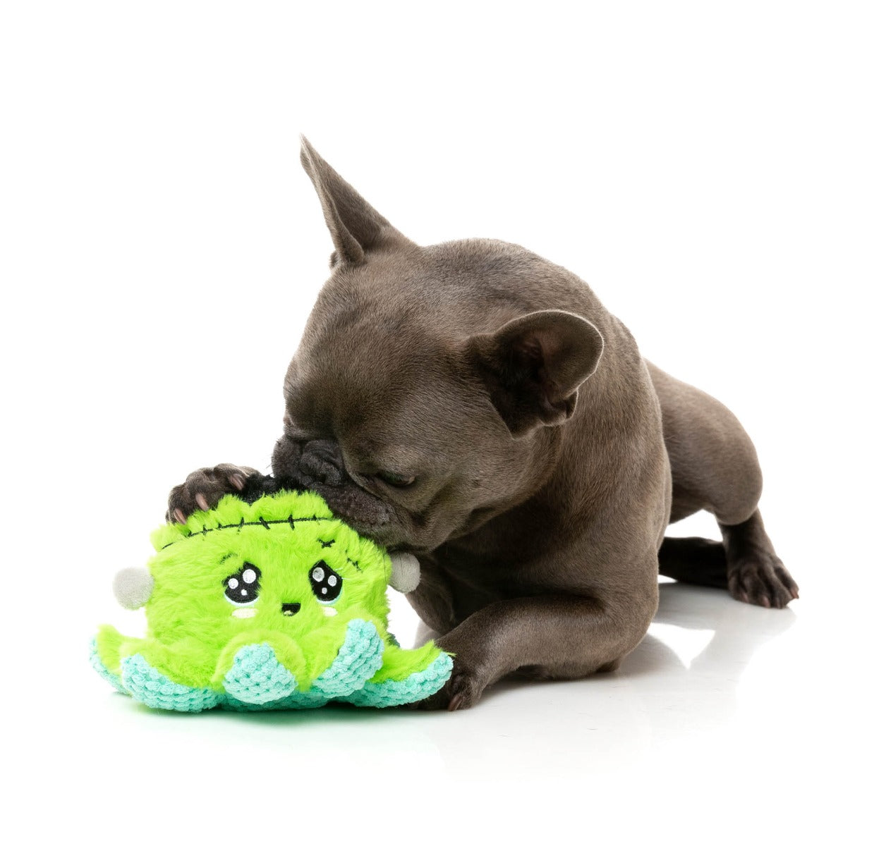 Stumpy Franken-pus - Dog Toy by FuzzYard