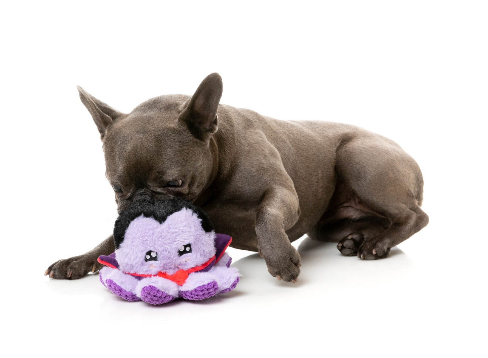 Stumpy Dractopus - Dog Toy by FuzzYard