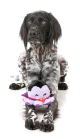 Stumpy Dractopus - Dog Toy by FuzzYard