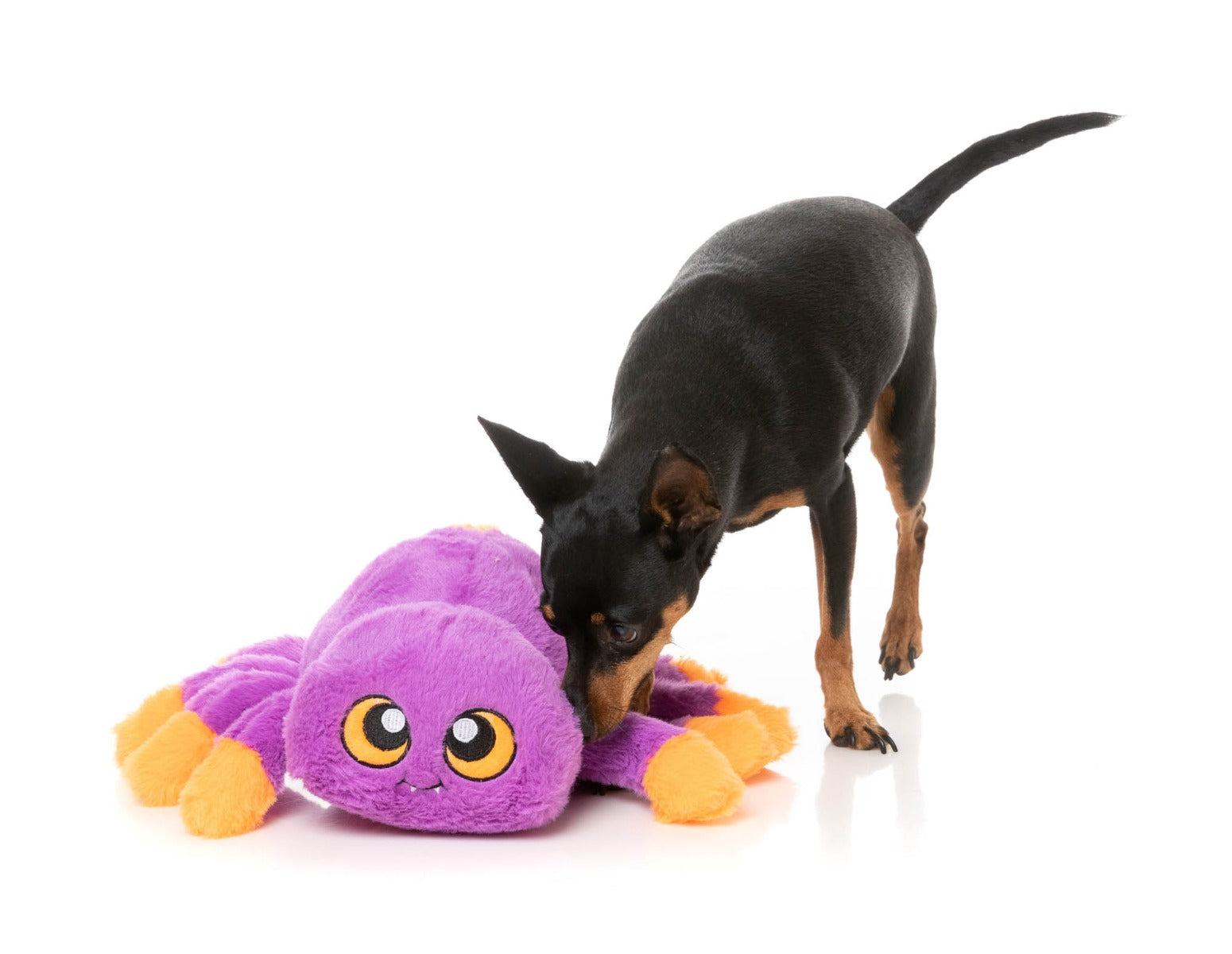 Weborah The Spider - Dog Toy by FuzzYard
