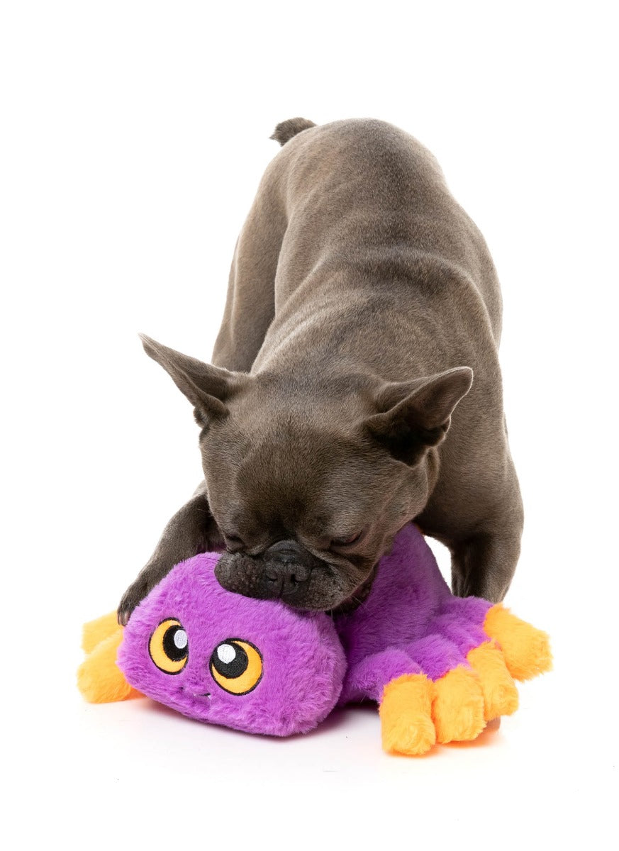 Weborah The Spider - Dog Toy by FuzzYard