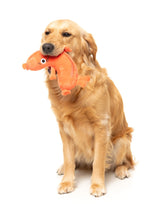 Brad Wurst - Dog Toy by FuzzYard