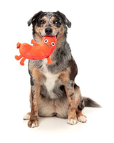 Brad Wurst - Dog Toy by FuzzYard