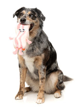 Kevin Bacon-Strip - Dog Toy by FuzzYard