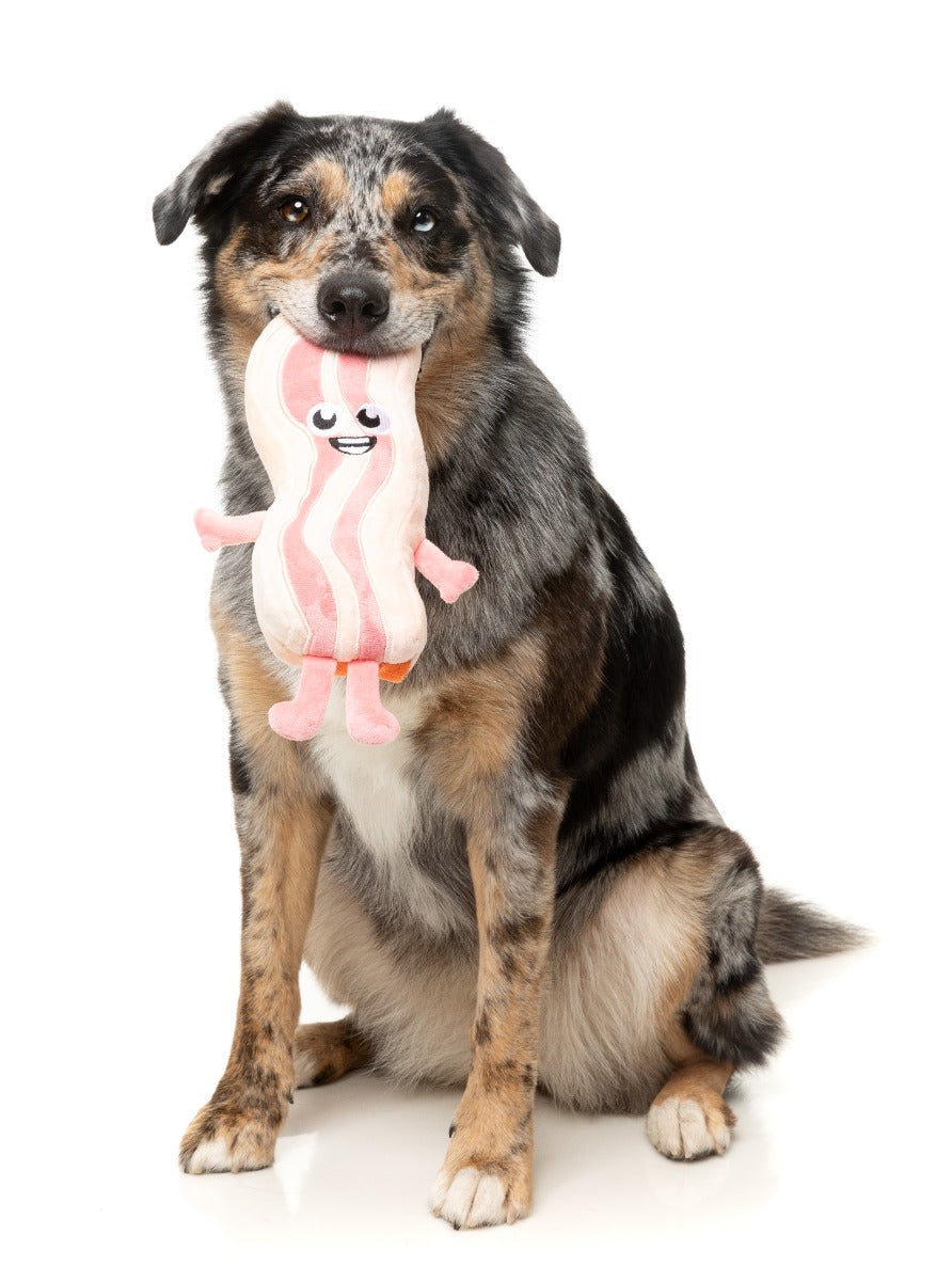 Kevin Bacon-Strip - Dog Toy by FuzzYard