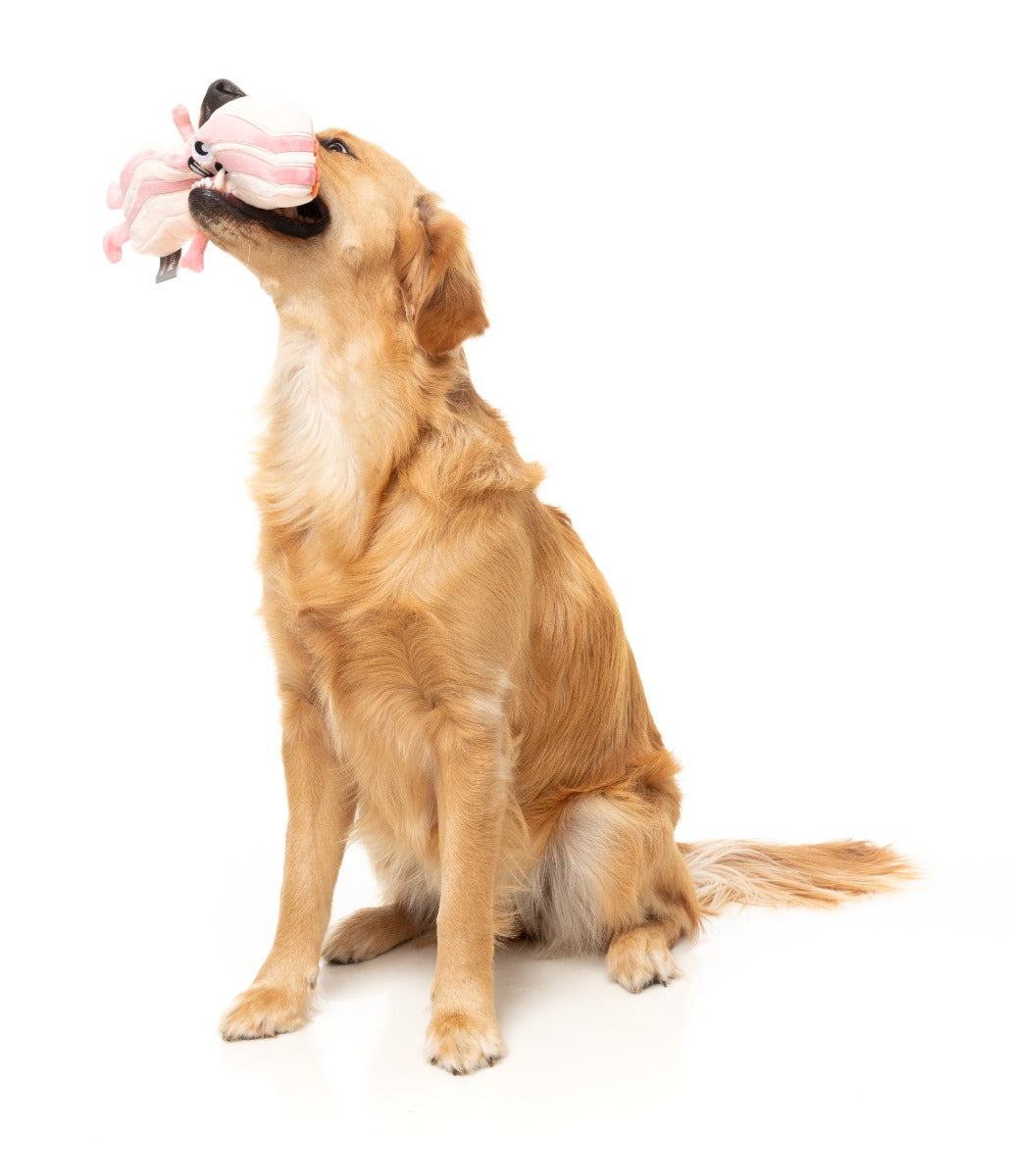 Kevin Bacon-Strip - Dog Toy by FuzzYard