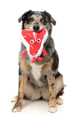 Tim Tee-Bowne - Dog Toy