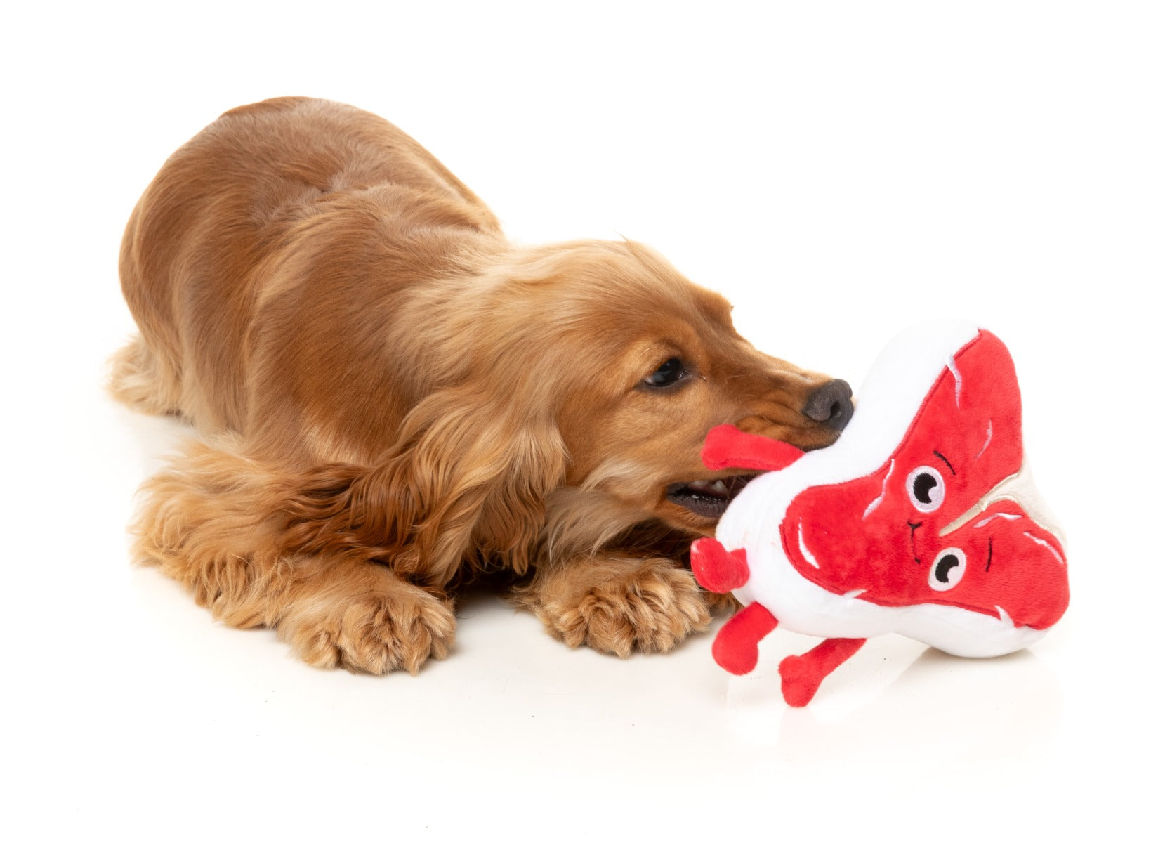 Tim Tee-Bowne - Dog Toy
