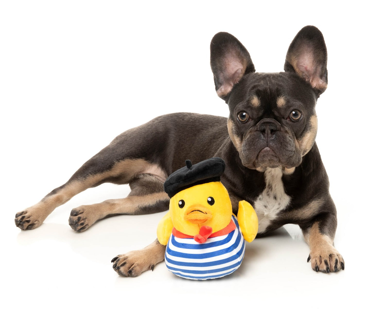 Timotheé Chalaquack - Dog Toy by FuzzYard