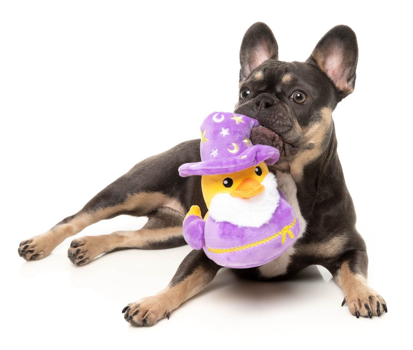 Sirius Quack - Dog Toy by FuzzYard