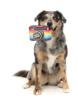Spread Love Camera - Dog Toy by FuzzYard