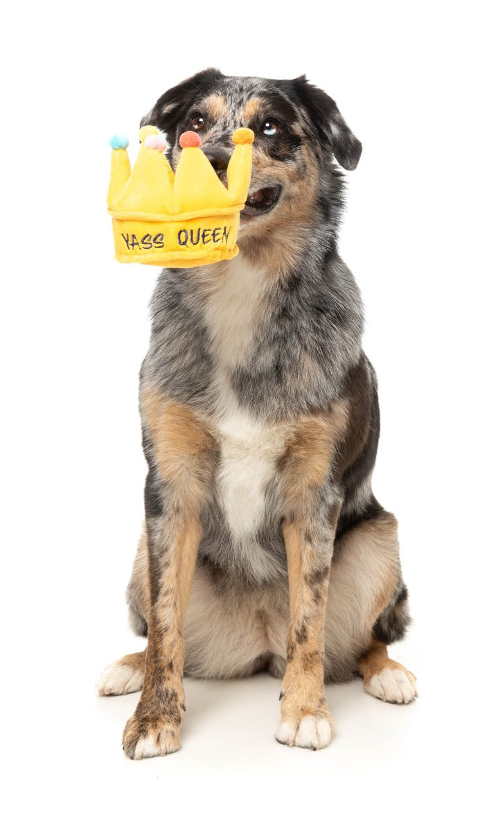 Yass Queen Crown - Dog Toy by FuzzYard