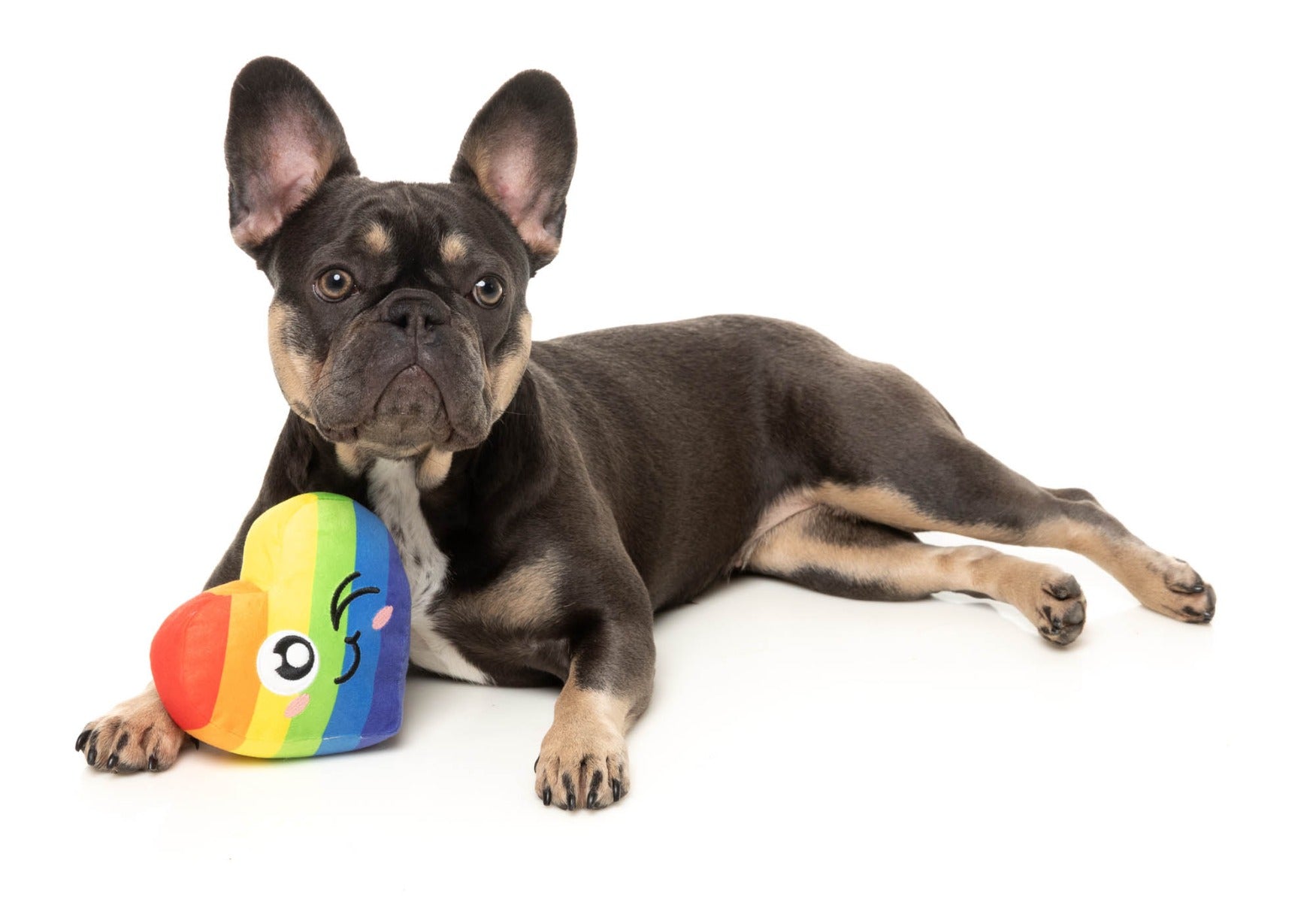 Can't Think Straight - Dog Toy by FuzzYard