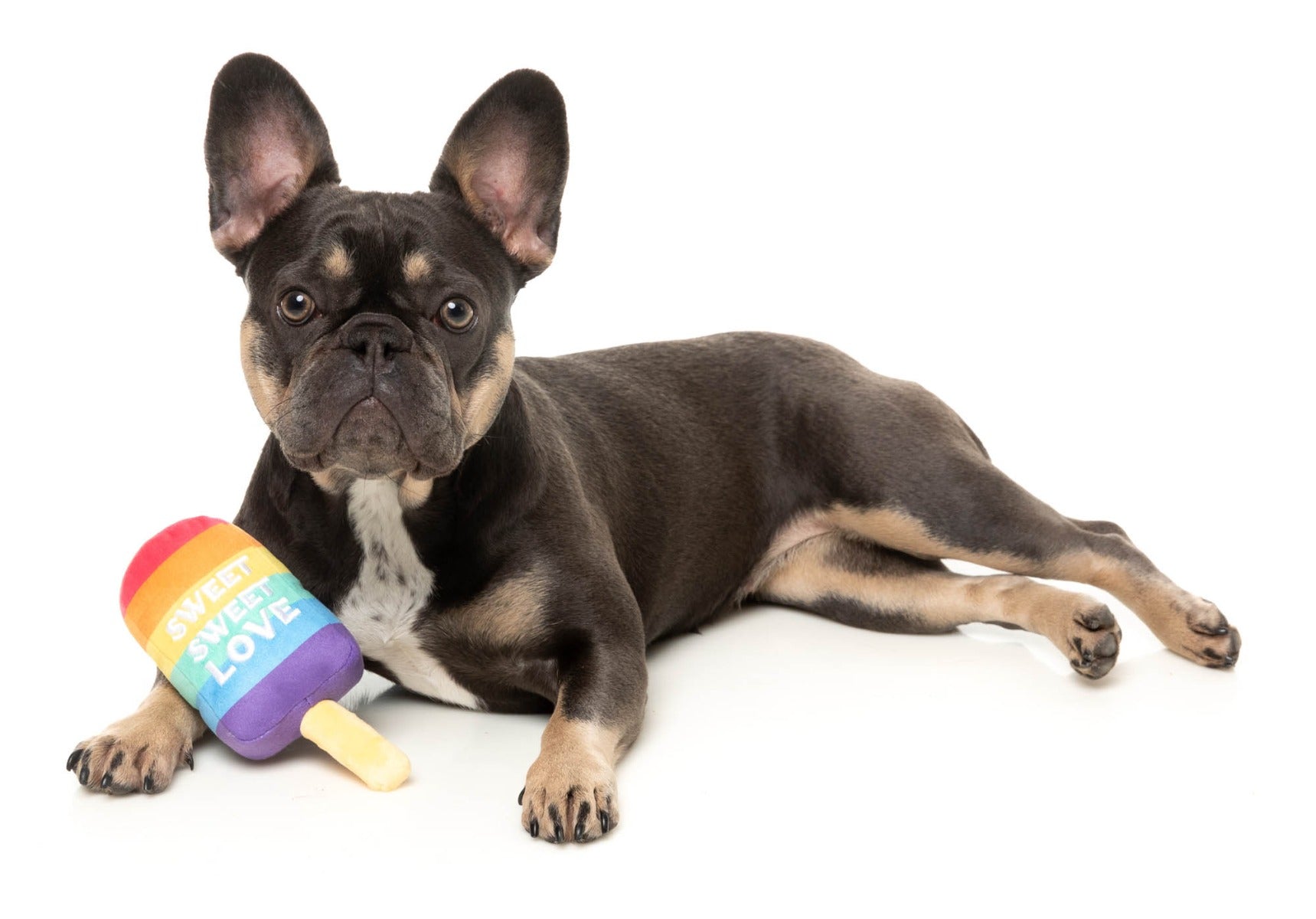 Love Icy Pole - Dog Toy by FuzzYard