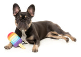 Love Icy Pole - Dog Toy by FuzzYard