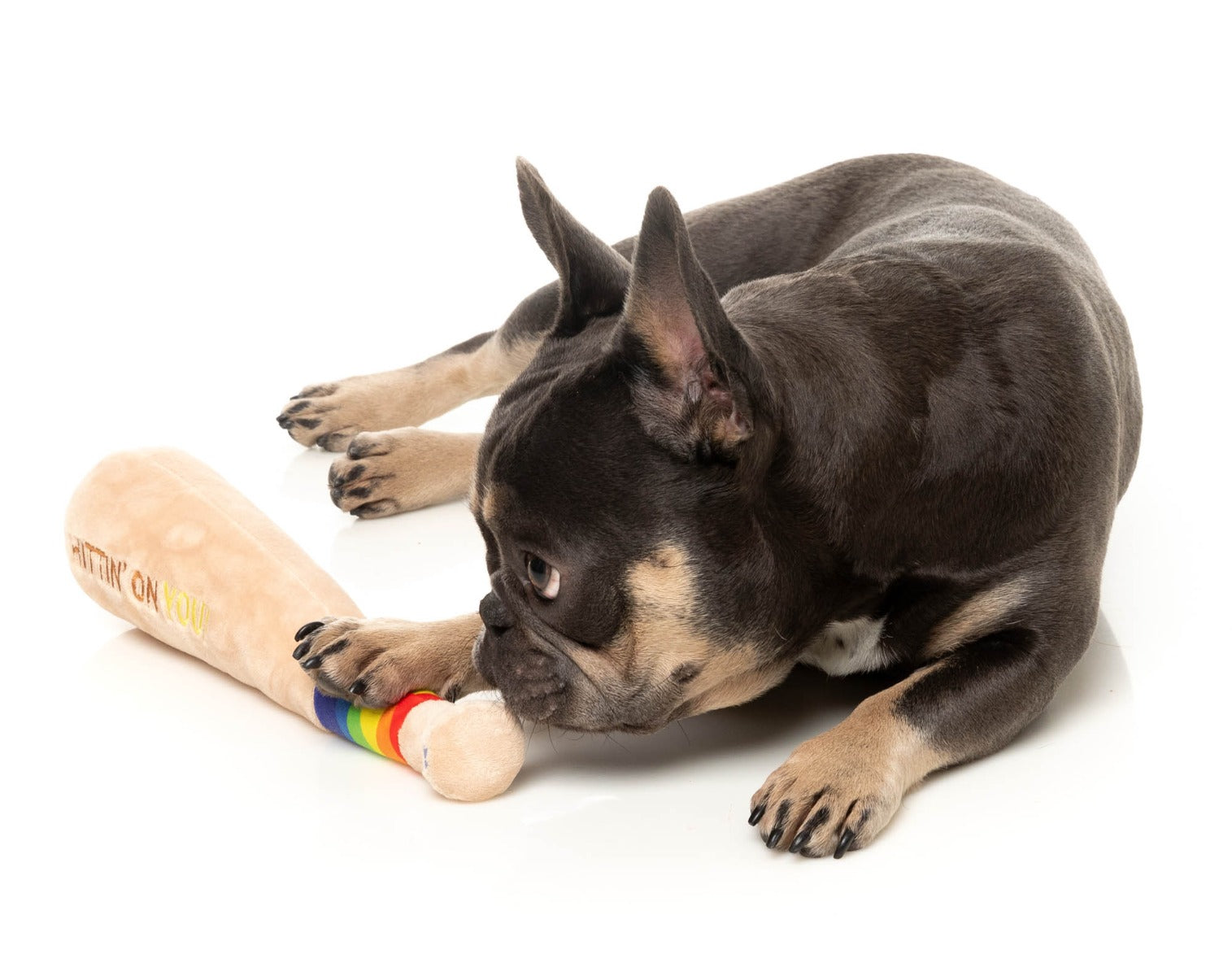 Hittin' On You Bat - Dog Toy by FuzzYard