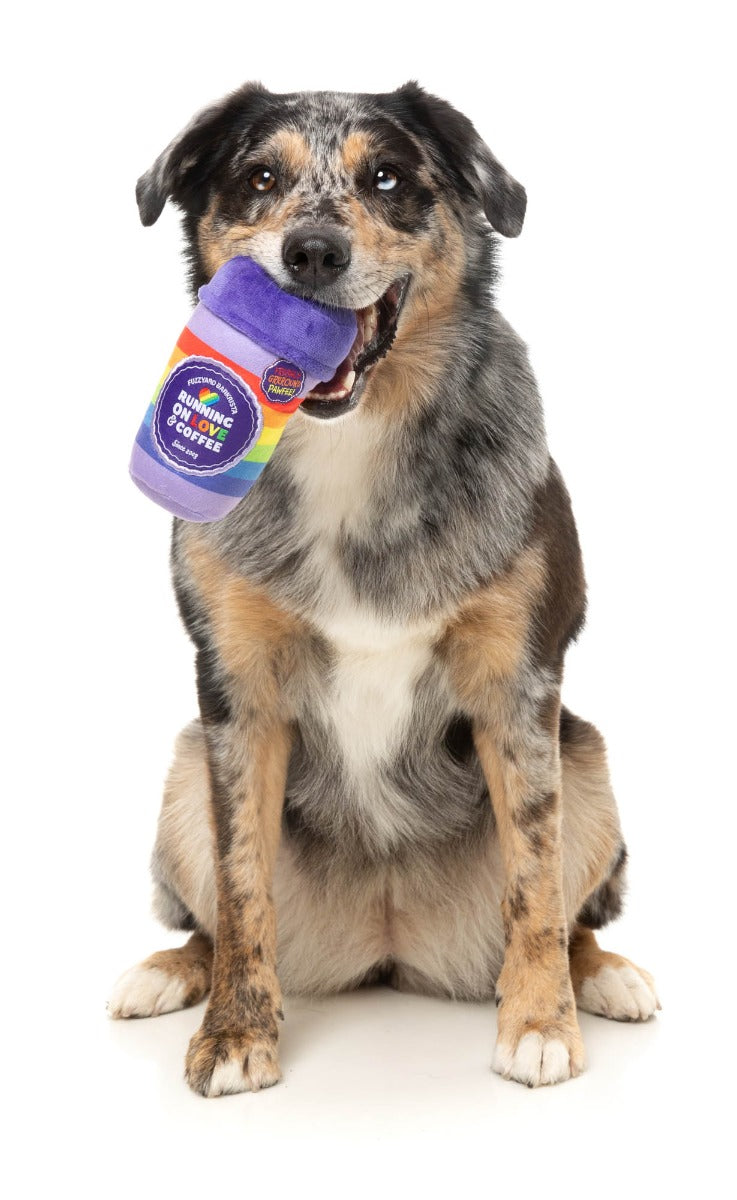 Rainbow Pawfee - Dog Toy by FuzzYard