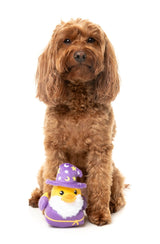 Sirius Quack - Dog Toy by FuzzYard