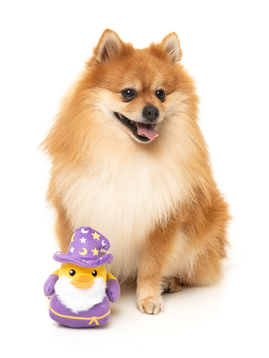 Sirius Quack - Dog Toy by FuzzYard