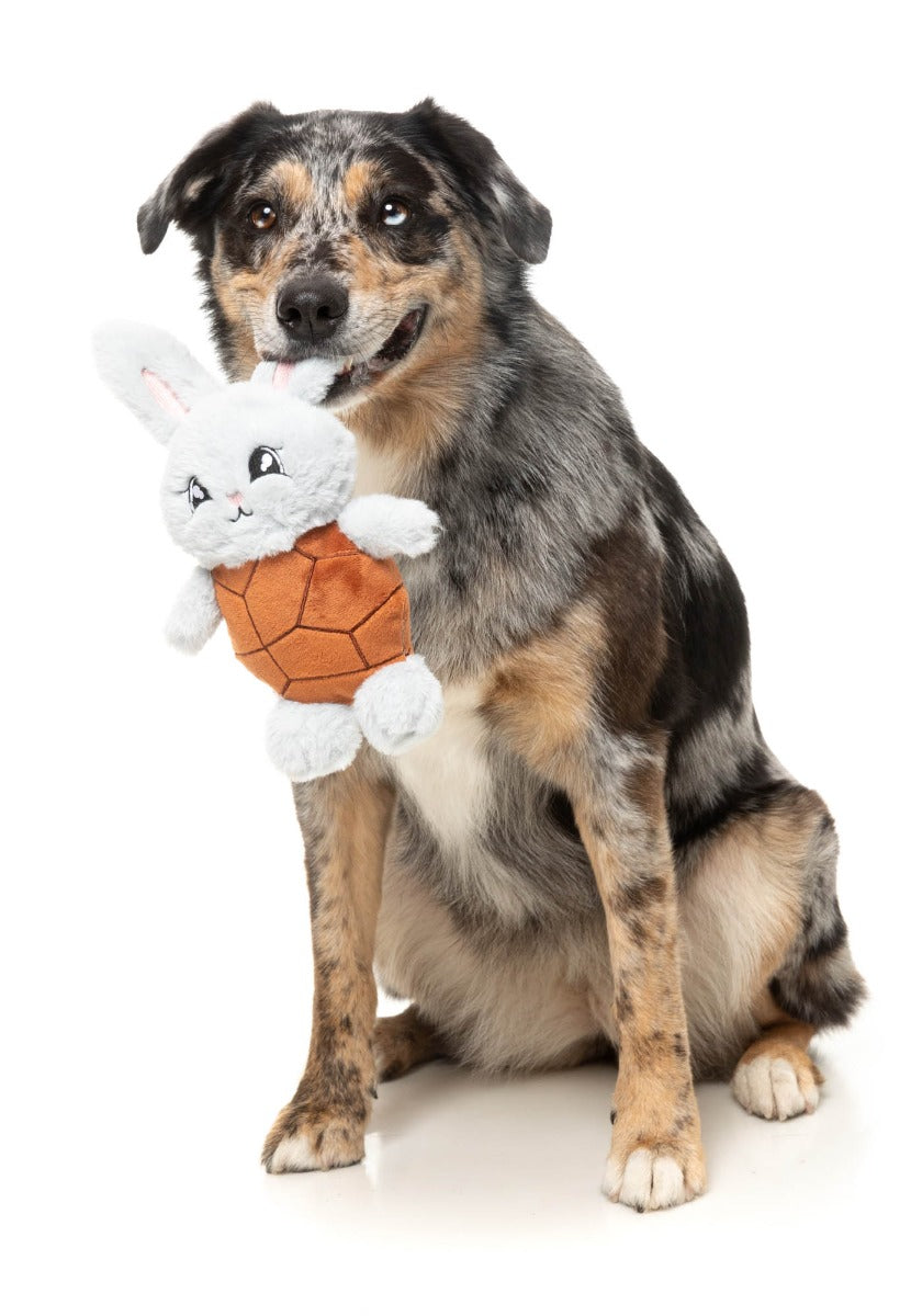 Choc Belly Bunny - Dog Toy by FuzzYard