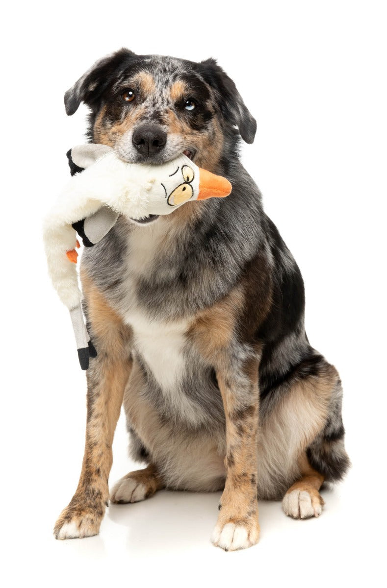 See-ya Seagull - The Yeetz - Dog Toy by FuzzYard