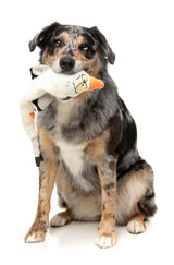See-ya Seagull - The Yeetz - Dog Toy by FuzzYard