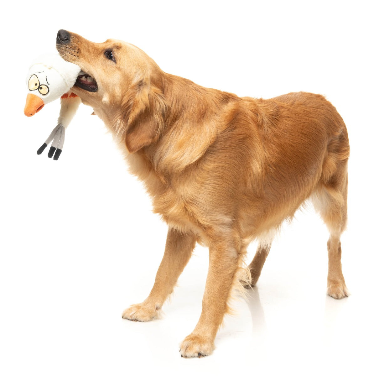 See-ya Seagull - The Yeetz - Dog Toy by FuzzYard