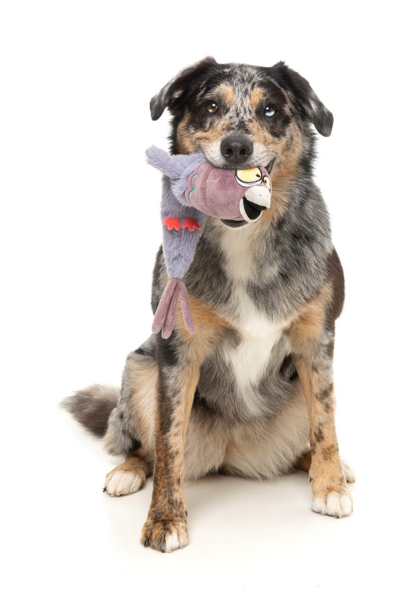 Peace Out Pigeon - The Yeetz - Dog Toy by FuzzYard