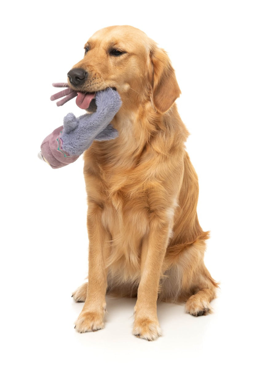Peace Out Pigeon - The Yeetz - Dog Toy by FuzzYard