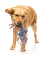 Peace Out Pigeon - The Yeetz - Dog Toy by FuzzYard