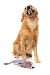 Peace Out Pigeon - The Yeetz - Dog Toy by FuzzYard