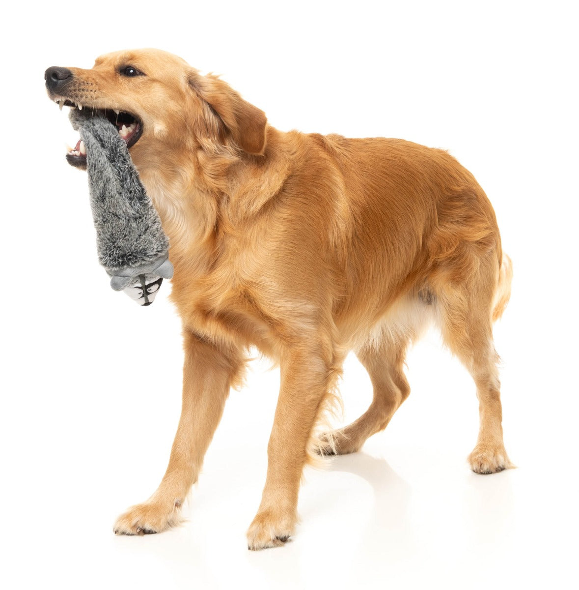 Run Along Raccoon - The Yeetz - Dog Toy by FuzzYard