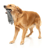 Run Along Raccoon - The Yeetz - Dog Toy by FuzzYard