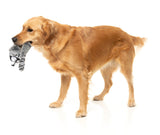 Run Along Raccoon - The Yeetz - Dog Toy by FuzzYard