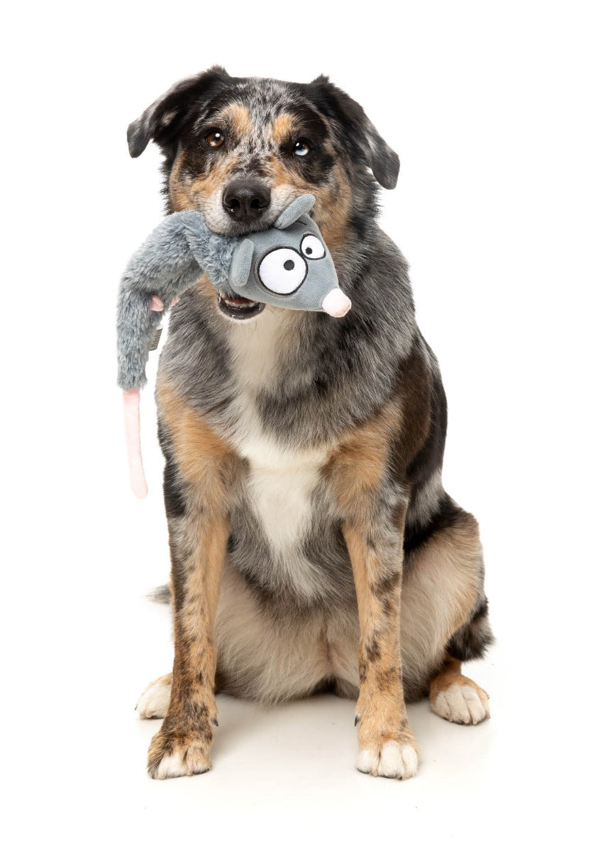 Rack Off Rat - The Yeetz - Dog Toy by FuzzYard