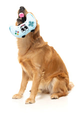 Gamezy - The Homies - Dog Toy by FuzzYard