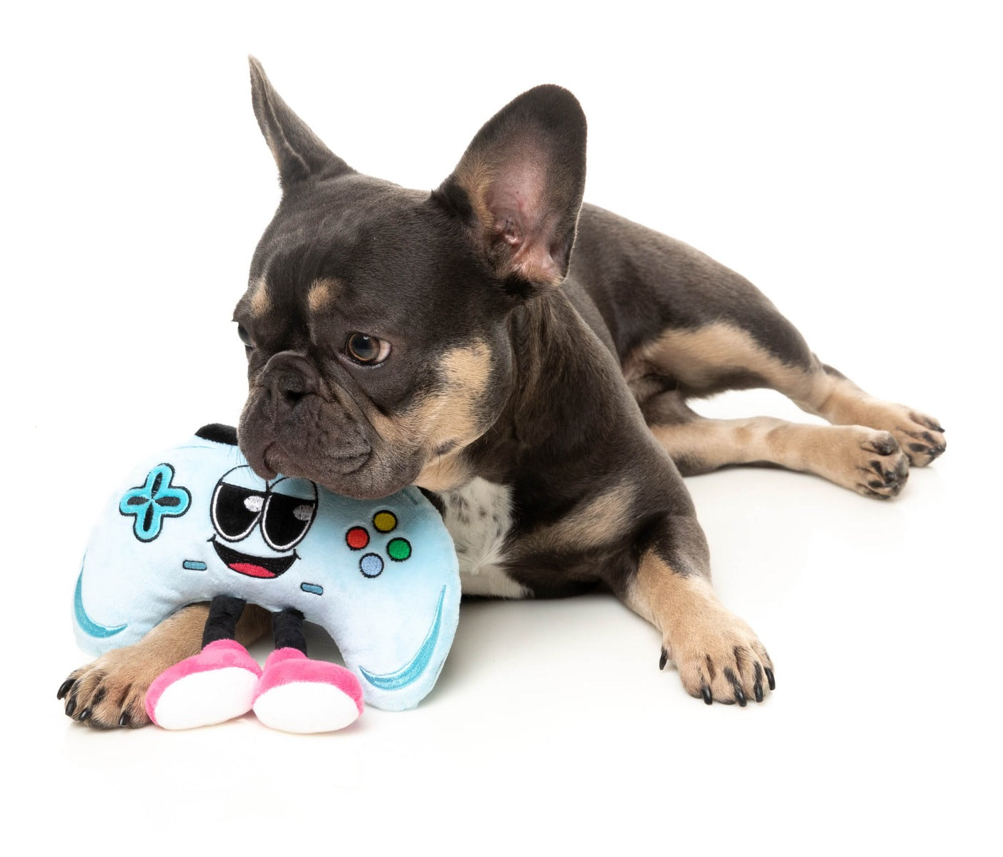 Gamezy - The Homies - Dog Toy by FuzzYard