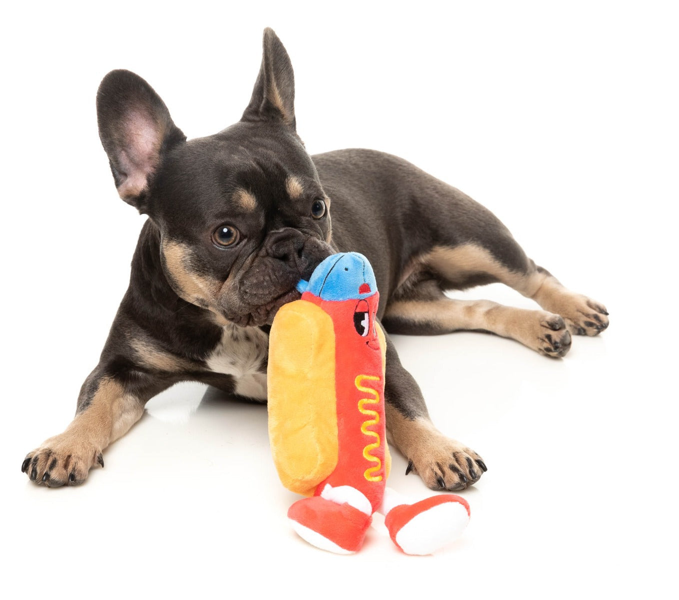 Franky - The Homies - Dog Toy