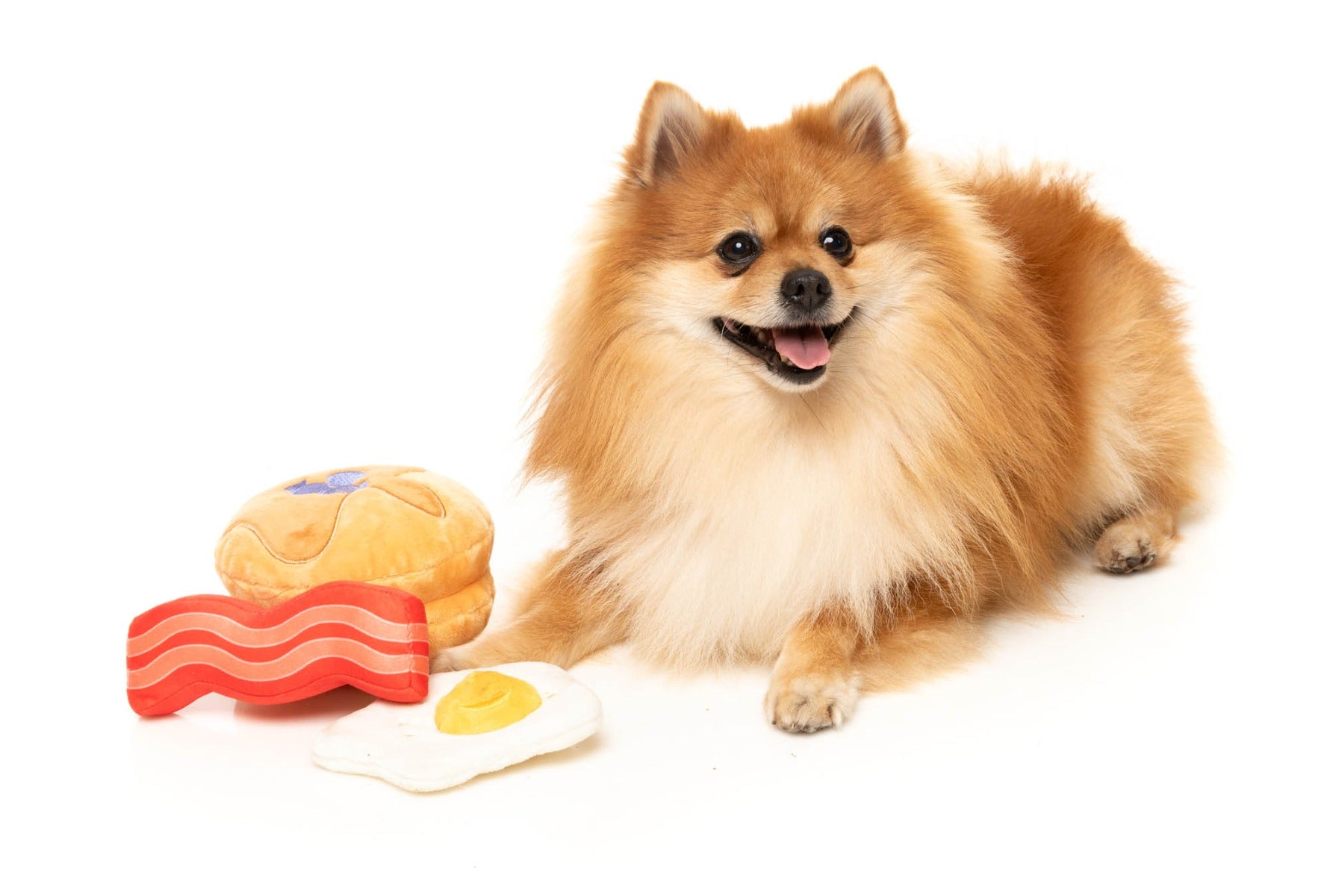 Dog's Breakfast 3PK - Dog Toy by FuzzYard