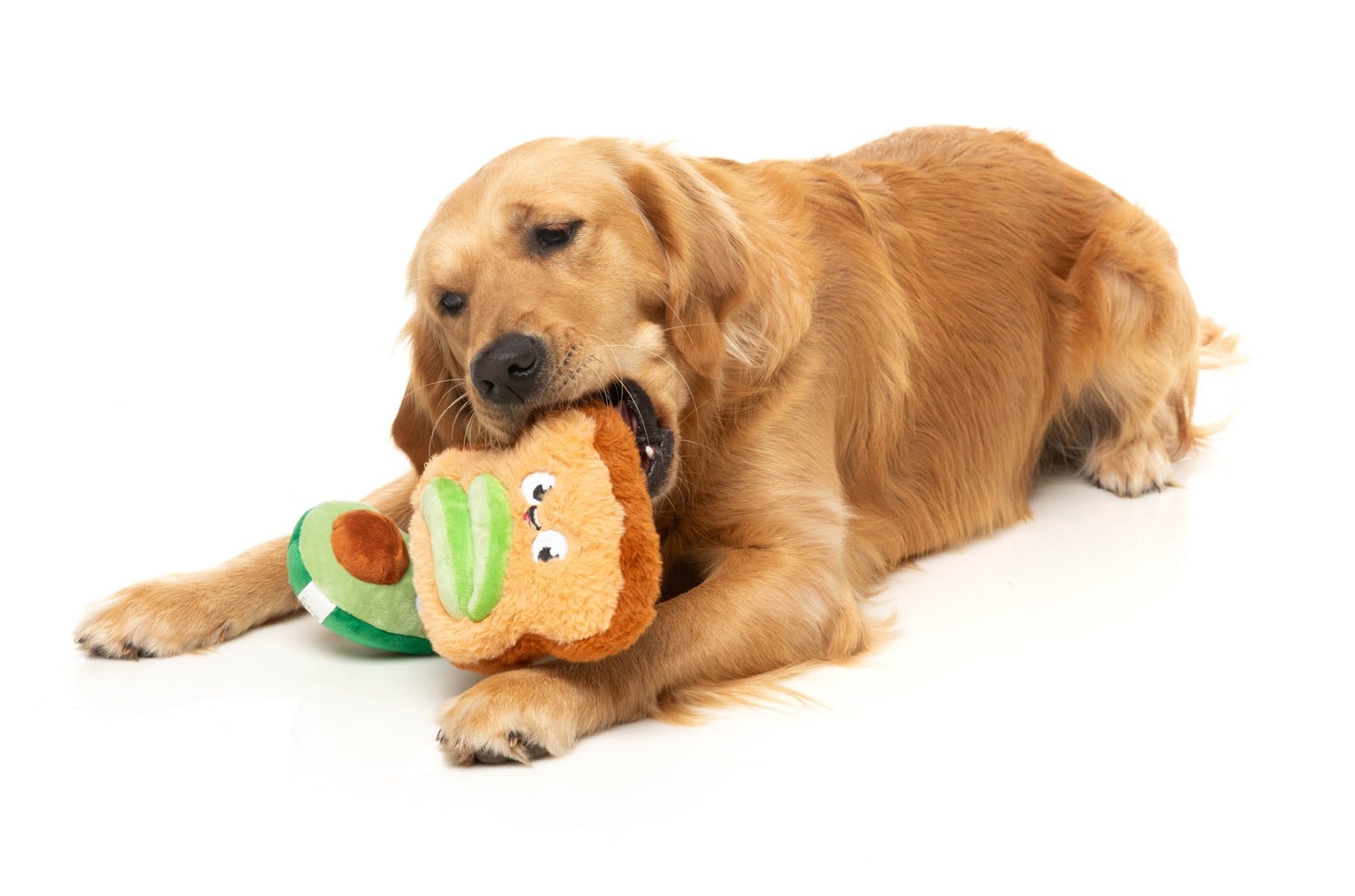 Avocado & Toast 2PK - Dog Toy by FuzzYard