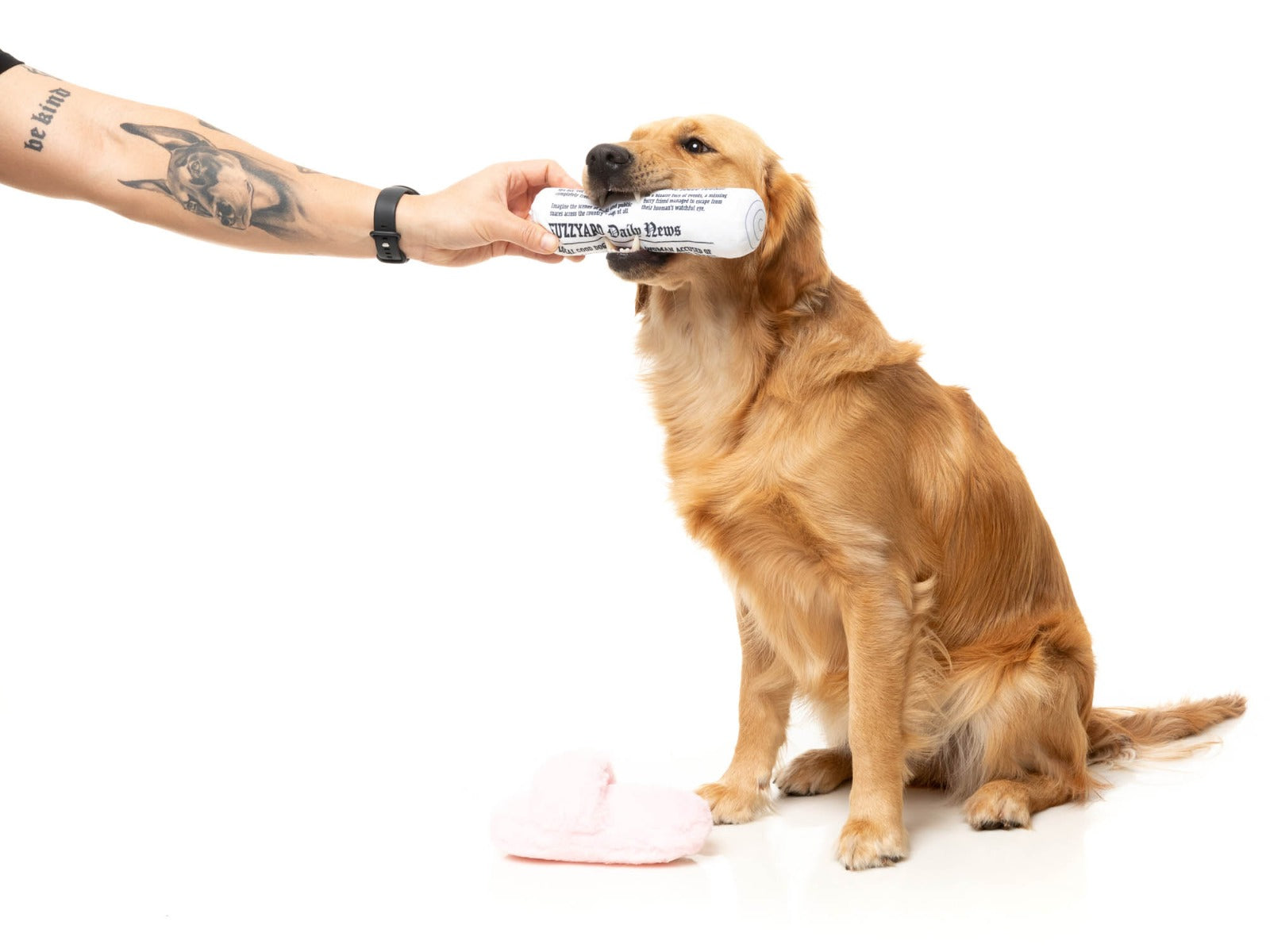 Fetch My Slippers & Paper 2PK - Dog Toy by FuzzYard
