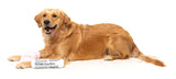 Fetch My Slippers & Paper 2PK - Dog Toy by FuzzYard