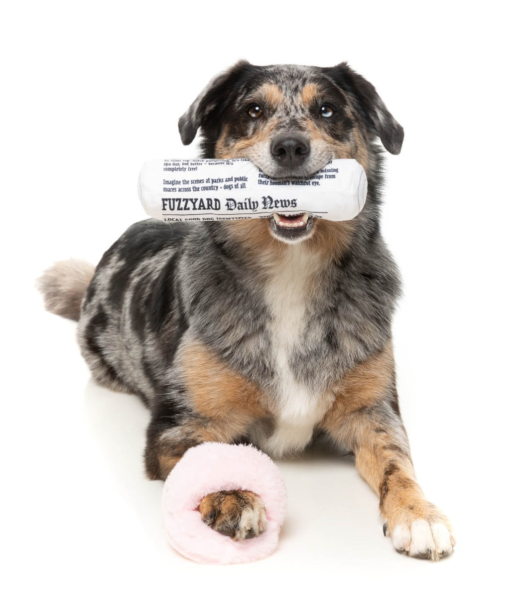 Fetch My Slippers & Paper 2PK - Dog Toy by FuzzYard