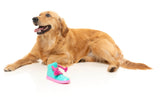 Fresh Kicks N' Licks - Interactive Chew Toy by FuzzYard