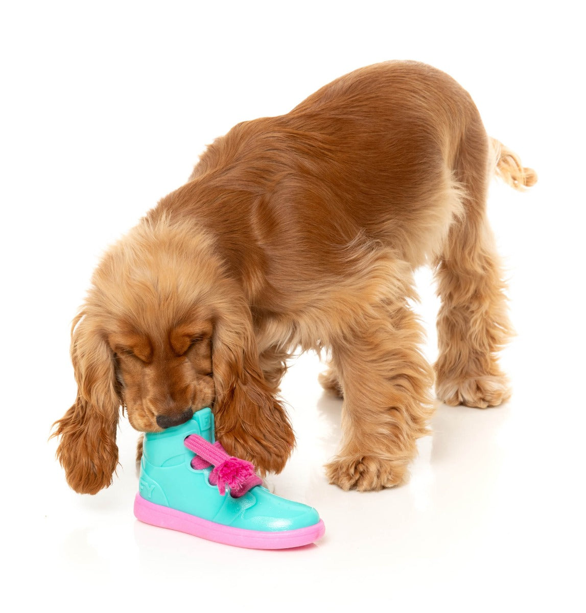 Fresh Kicks N' Licks - Interactive Chew Toy by FuzzYard